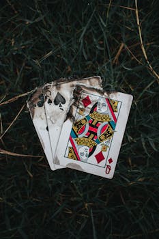 Finlandia Casino Bonuskoodi: Opas Bonusten Ja Tarjousten Hyödyntämiseen
